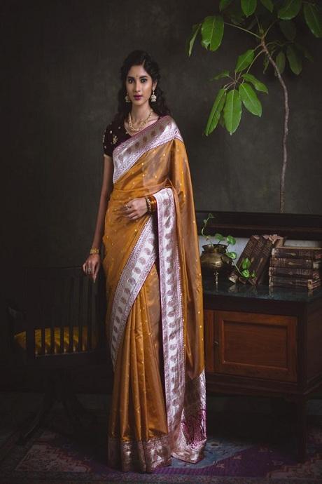 Stylish Chiku Gold Color Soft Silk Designer Jacquard Saree SY 1602