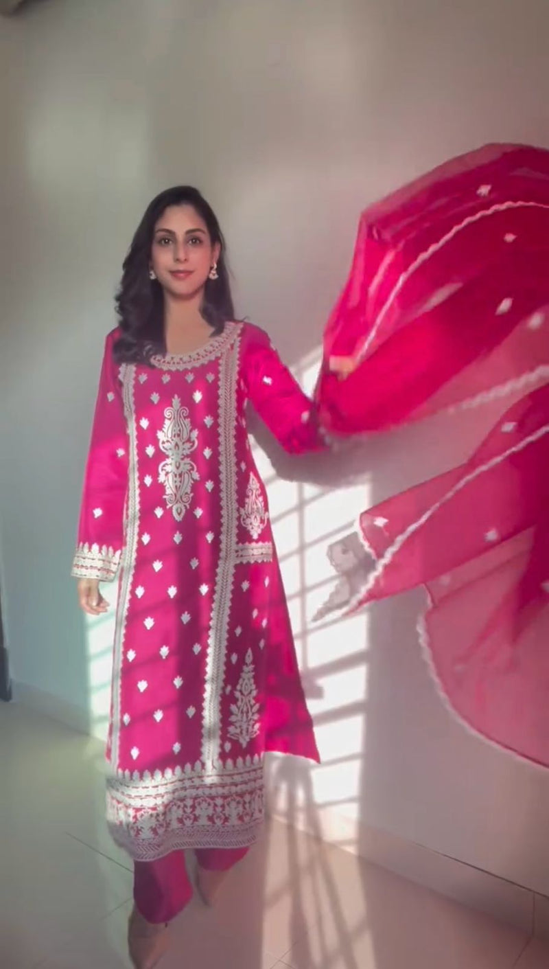 Admirable Rani Color Designer Salwar Kameez