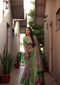 kalamkari printed Silk saree with Printed Pistachio heavy work for woven